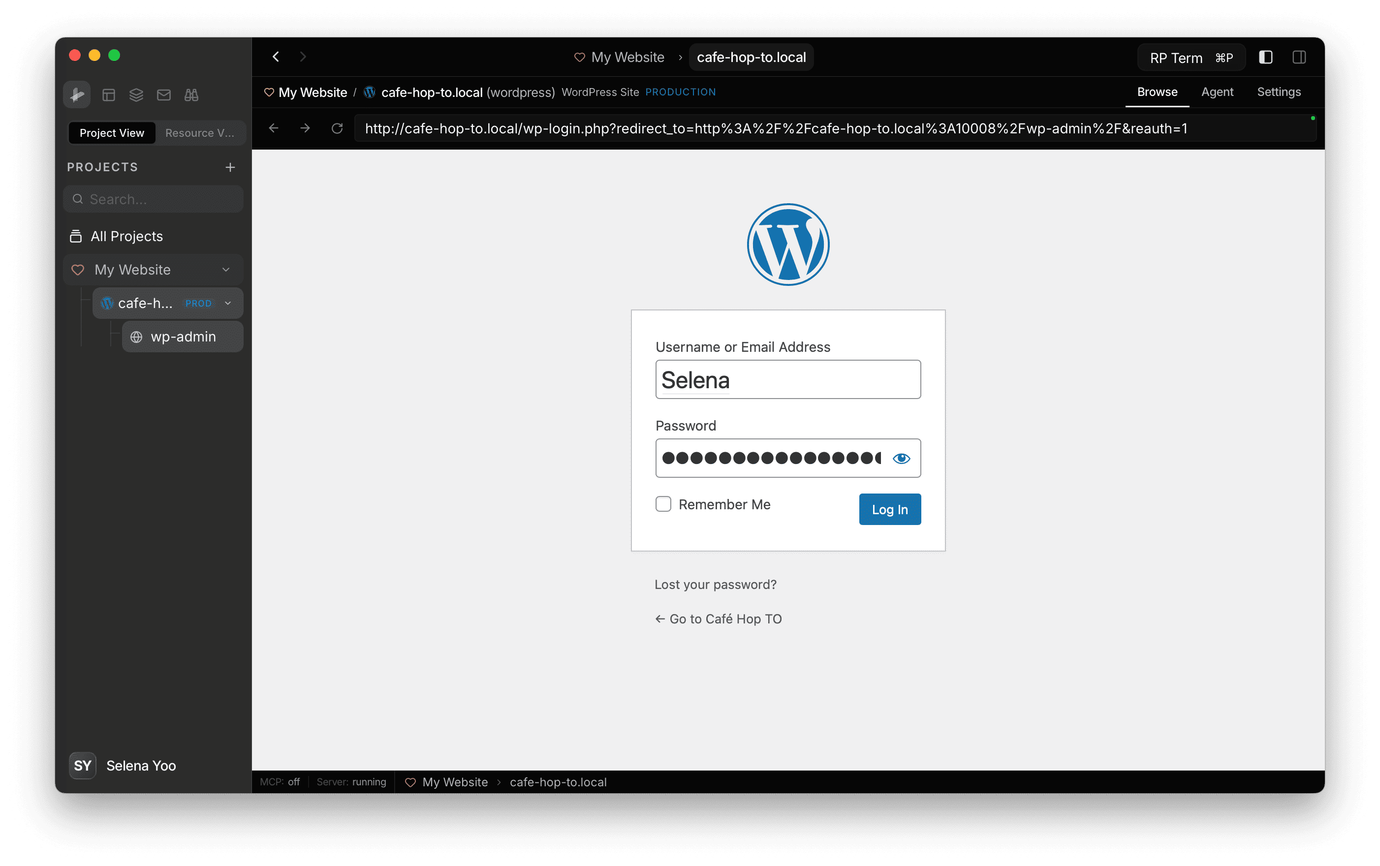 WordPress login in browser