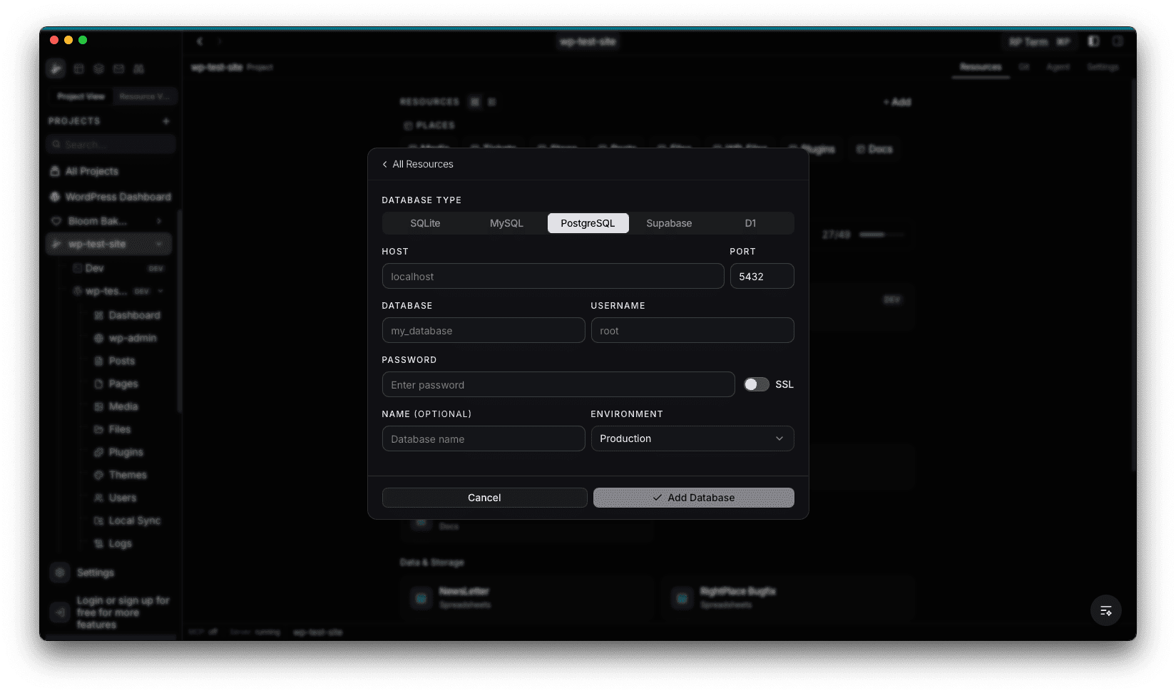 PostgreSQL connection form with host, port, database, username, password, SSL toggle, name, and environment