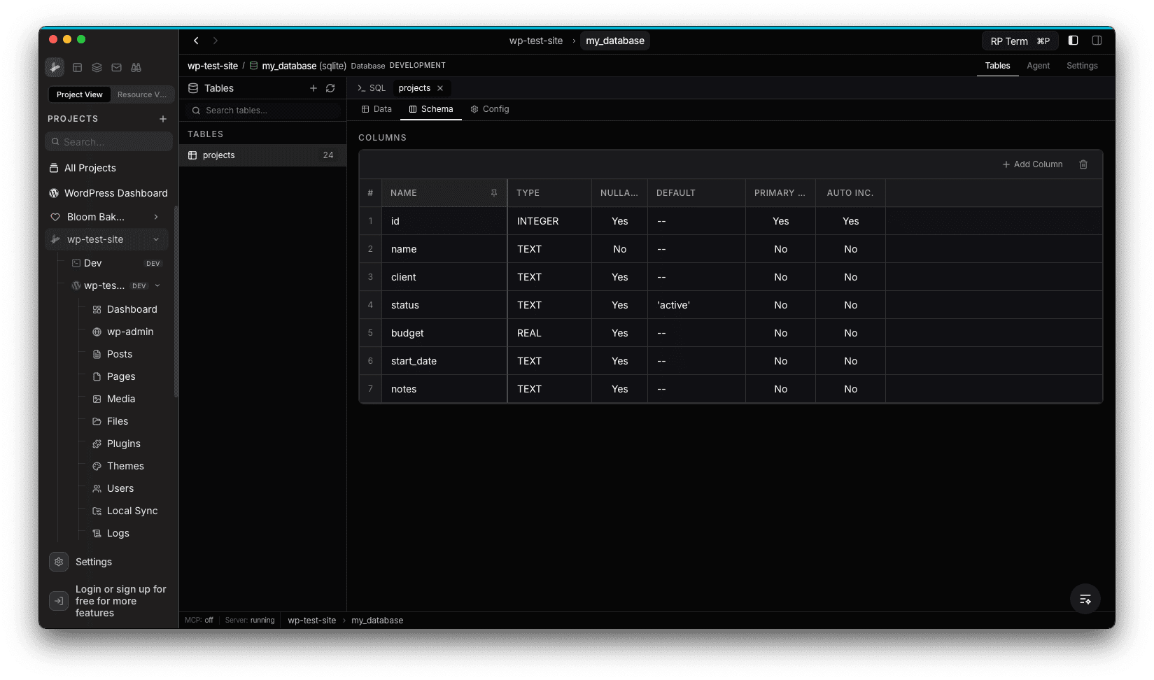 Schema view for a projects table showing columns with name, type, nullable, default, primary key, and auto increment attributes