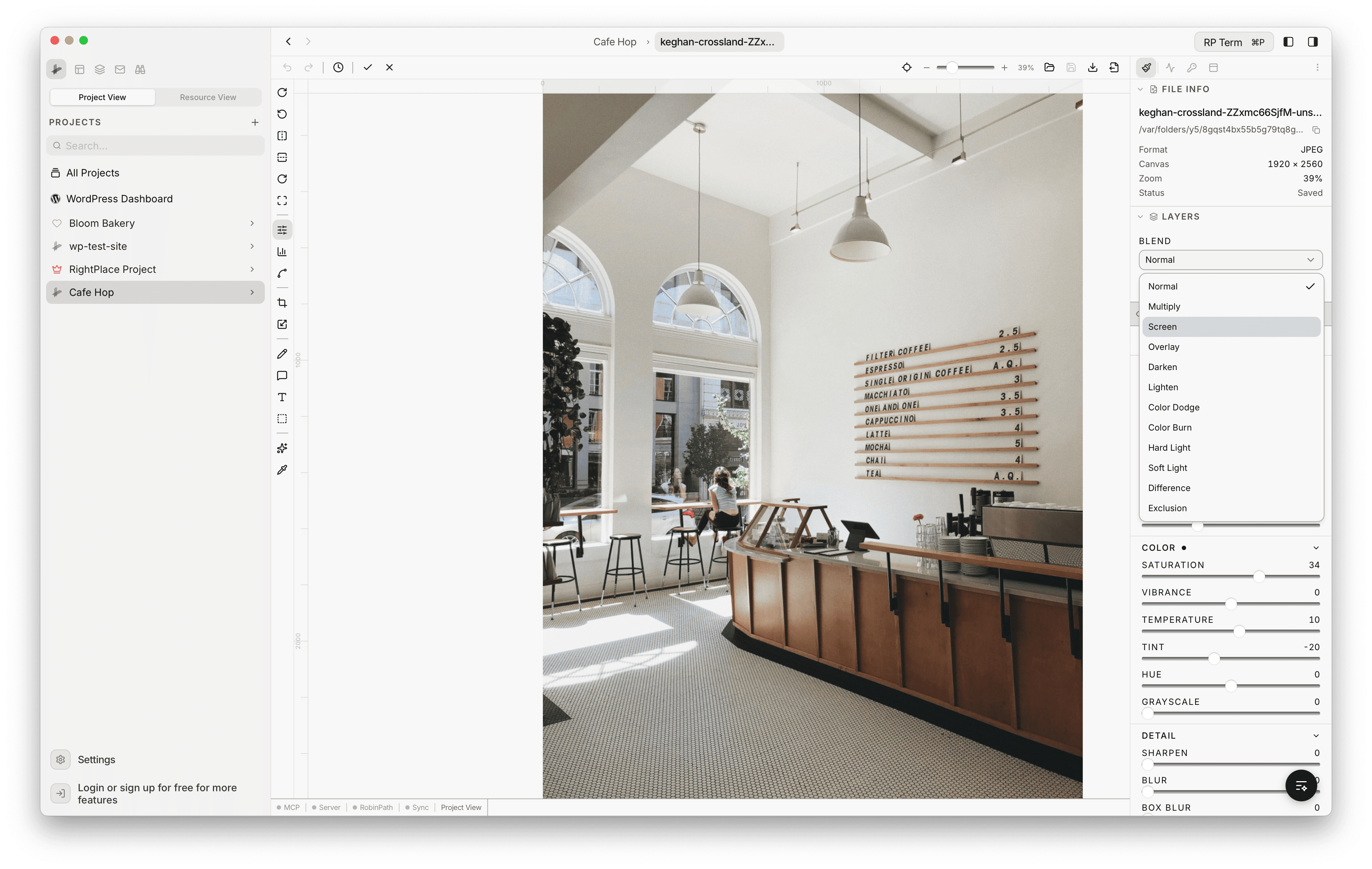 Layer panel with the Blend mode dropdown open, showing all 12 available modes: Normal, Multiply, Screen, Overlay, Darken, Lighten, Color Dodge, Color Burn, Hard Light, Soft Light, Difference, Exclusion. The Color adjustment section below shows Saturation at 34, Temperature at 10, and Tint at -20.