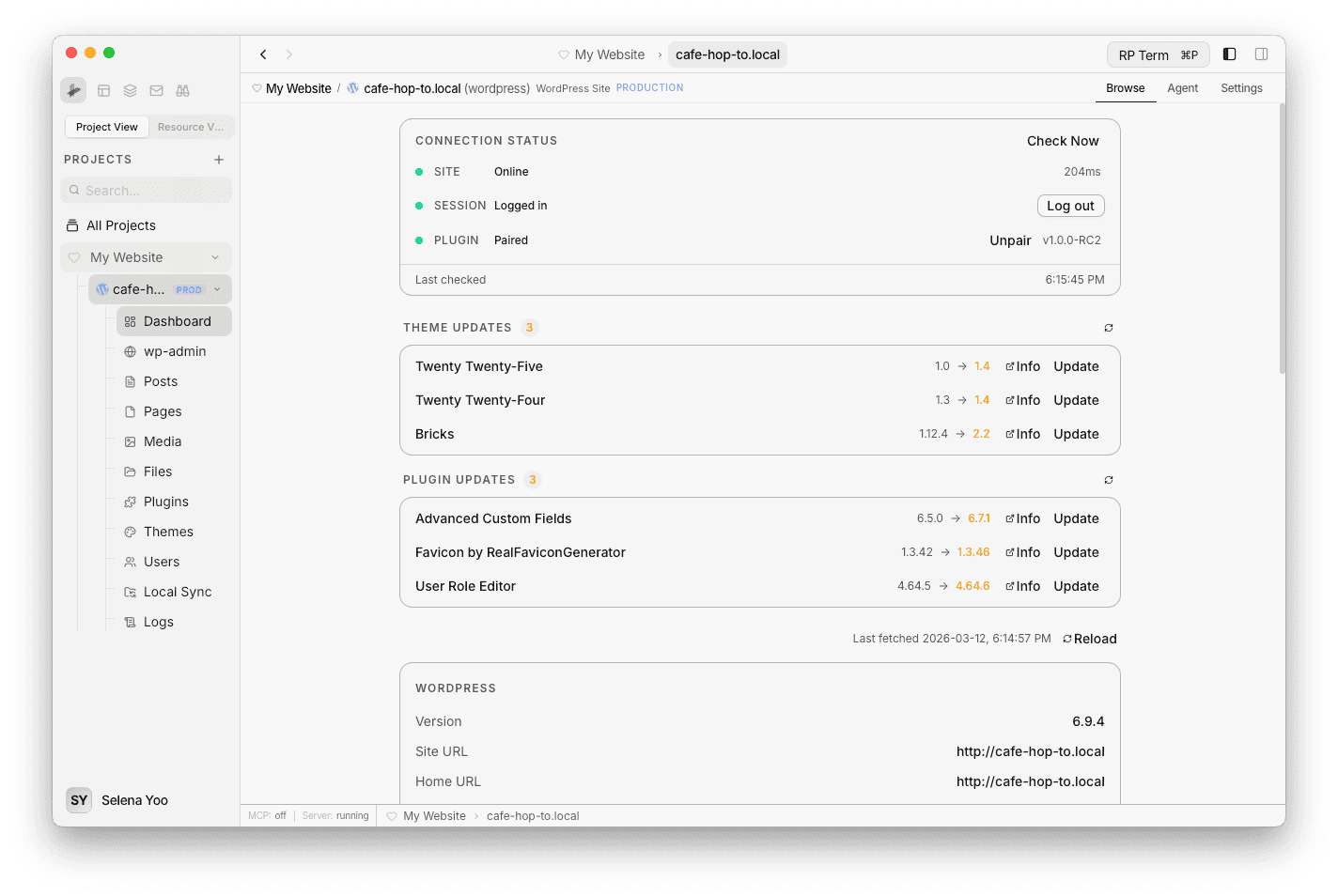 Dashboard showing connection status, theme and plugin updates, and system information